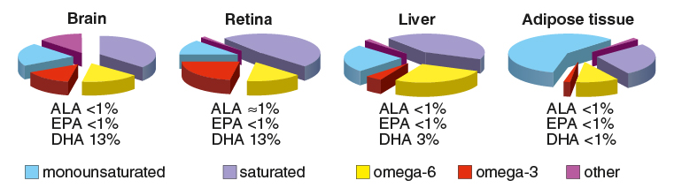 Omega-3 PUFAs