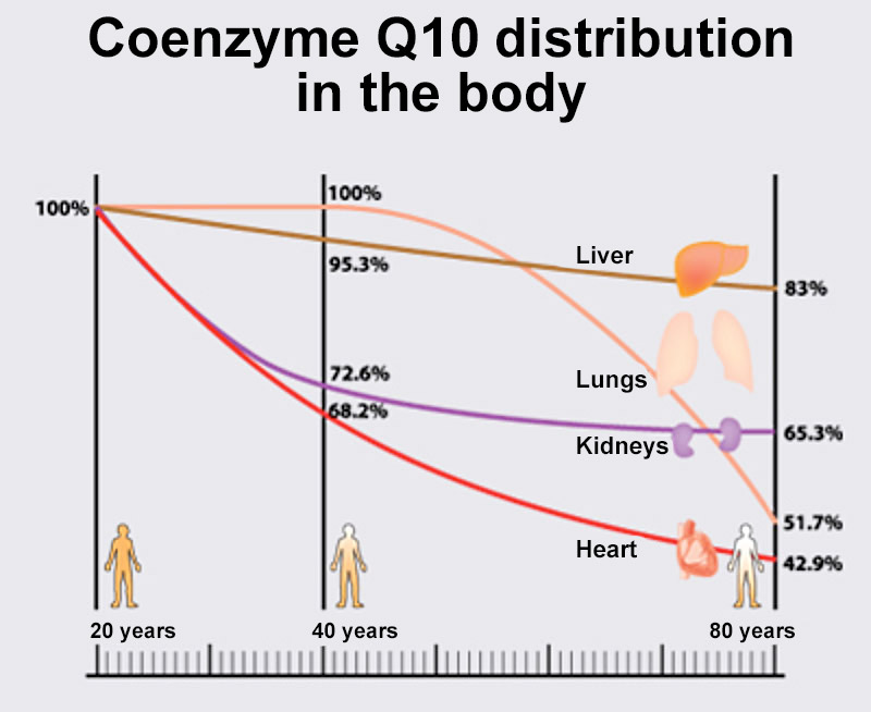Коэнзим Q10